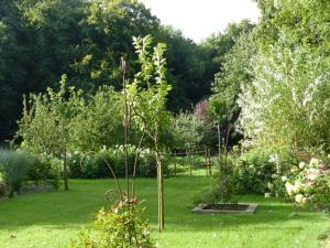 einen Garten mit einem kleinen Baum im Gras in der Unterkunft LE JARDIN DU ROSSIGNOL in Willeman