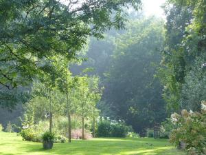 a field of grass with trees in the background at LE JARDIN DU ROSSIGNOL in Willeman