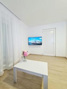 TV a/nebo společenská místnost v ubytování Apartment Ane 3