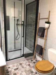 a bathroom with a shower with a toilet in it at Les Roches Blanches in Étretat