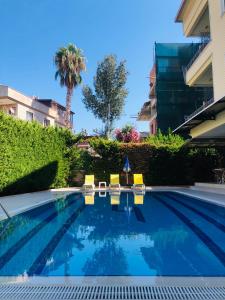 una piscina con 2 sillas y una palmera en Lemon Hotel, en Antalya