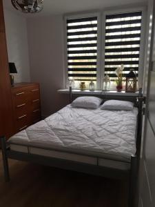1 dormitorio con 1 cama y 2 ventanas en apartament Ewa, en Zielona Góra