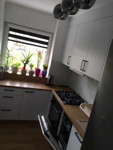 Fotografie z fotogalerie ubytování apartament Ewa v destinaci Zelená Hora + 3 fotografie