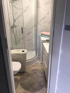 Kamar mandi di apartament Ewa