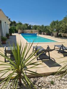 uma piscina com cadeiras e uma palmeira num quintal em Stone Villa Olea - Holiday house in olive grove em Supetar