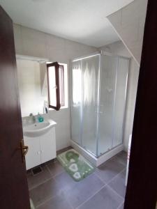 een badkamer met een douche en een wastafel bij Hiša Žičanka in Loče pri Poljčanah