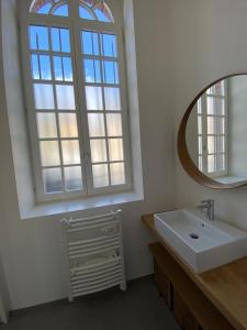 La salle de bains est pourvue d'un lavabo et d'un miroir. dans l'établissement Studio Terrasse, ancienne maison de champagne, à Reims