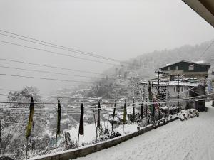 The Silver Spring Homestay v zimě