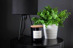 Modern city centre apartment roof garden