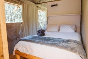 a bedroom with a bed with a camera on it at AfriCamps at Ingwe in Plettenberg Bay