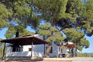 uma casa branca com uma árvore em frente em Finca Bonaire Alicante em Jijona