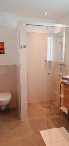 W łazience znajduje się prysznic, toaleta i umywalka. w obiekcie Apartment Life w mieście Radstadt
