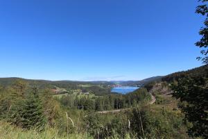 Blick auf einen See von der Spitze eines Hügels in der Unterkunft H&P Touristik Residenz Grafenmatt GRA-3-2 in Feldberg