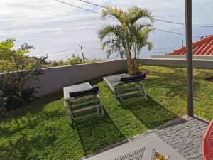 a patio with two chairs and a table and a palm tree at Casa Atlantico tropischer Seitenflügel in Ribeira Brava