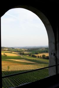 een uitzicht op een veld vanuit een treinraam bij Château de Salettes in Cahuzac-sur-Vère