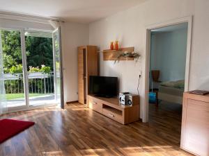 ein Wohnzimmer mit einem TV auf einem Holzschrank in der Unterkunft Ferienwohnung im Dettenbachtal in Waldkirch