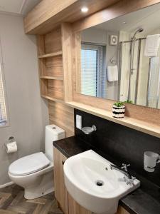 a bathroom with a sink and a toilet and a mirror at Beryl Lodge with Hot Tub in York