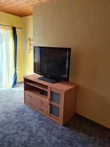Elle comprend une télévision à écran plat installée au-dessus d'un meuble en bois. dans l'établissement Ferienwohnung "Andrea", à Gundelsheim