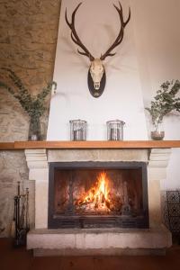 a fireplace with a skull and antlers on the wall at Finca Bonaire Alicante in Jijona