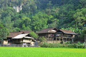 a group of houses next to a rice field at Ba Be Lake View Homestay in An Ma