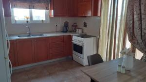 Kuchyňa alebo kuchynka v ubytovaní ILIANA.APARTMENTS