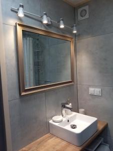 a bathroom with a white sink and a mirror at Domek Na Leśnym Wzgórzu in Pieszyce