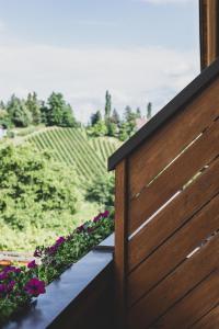 een balkon met paarse bloemen en uitzicht op een wijngaard bij Weingut Peter Grill in Leutschach +30 foto's