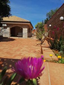 a purple flower in front of a brick patio at Villa Verde in Cefalù