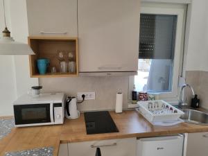 Een keuken of kitchenette bij Apartman Mela Kop 11