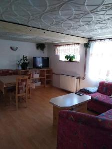 TV a/nebo společenská místnost v ubytování Apartmán Pavla