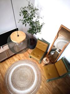 um quarto com uma mesa e cadeiras e um vaso de plantas em Codicei Studio em Braşov