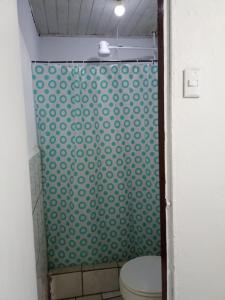 阿拉胡埃拉的住宿－Departamentos Patricia，浴室设有卫生间和绿色淋浴帘。