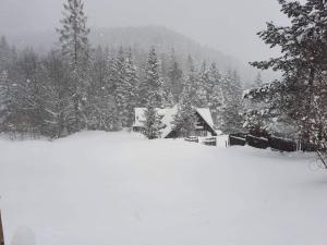 UROCZYSKO iarna