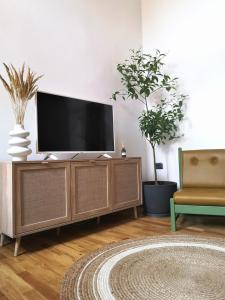 una sala de estar con TV de pantalla plana en un armario en Codicei Studio, en Brasov