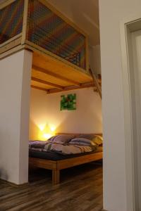 a bedroom with a bunk bed with a ladder at Bed & Breakfast Preith 