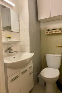 ein Badezimmer mit einem weißen Waschbecken und einer Toilette in der Unterkunft Cosy Central Riga Apartment in Riga