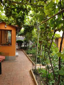 um jardim com um passadiço de tijolos ao lado de um edifício em Casuta Lavi Constanta em Constança
