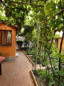 un jardín con una pasarela de ladrillo junto a un edificio en Casuta Lavi Constanta en Constanza