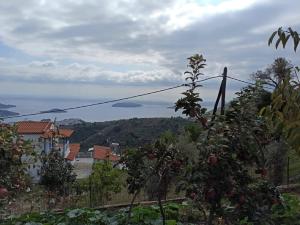 a view of the ocean from a garden at Alexandra's Studios in Kechria