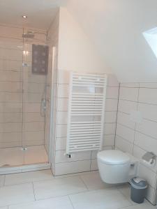 a bathroom with a toilet and a shower at "Libelle am Bernsteinsee" in Stüde, Sassenburg in Sassenburg