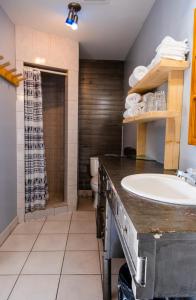 a bathroom with a sink and a toilet at Auberge de Jeunesse Le Camp De Base in LʼAnse-Saint-Jean