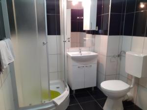 W łazience znajduje się toaleta, umywalka i prysznic. w obiekcie House Josipa w mieście Rakovica