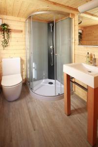 a bathroom with a shower and a toilet and a sink at Holiday home, Plau am See in Plau am See