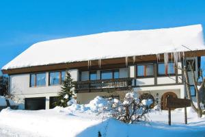 Apartment in Kleines Wiesental, Sallneck في Sallneck: منزل مغطى بالثلج وسقف مغطى بالثلج