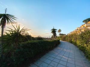 A garden outside Apartamento Romana Playa