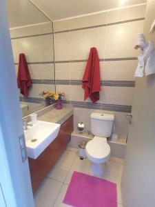 uma casa de banho com um WC branco e um lavatório. em Matiz 01 em Iquique