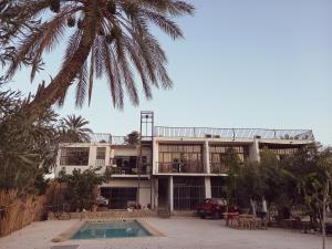 una casa con una palmera y una piscina en dar seddik en Gafsa