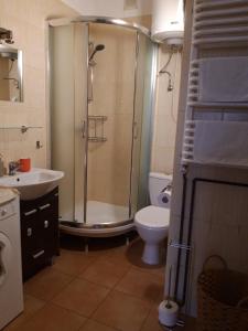 a bathroom with a shower and a toilet and a sink at Green Apartment House in Bielsko-Biała