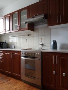 a kitchen with wooden cabinets and a stainless steel oven at Green Apartment House in Bielsko-Biała