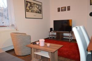 Televízia a/alebo spoločenská miestnosť v ubytovaní Bohemica Apartman 3